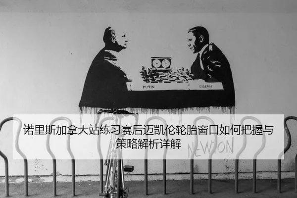 诺里斯加拿大站练习赛后迈凯伦轮胎窗口如何把握与策略解析详解