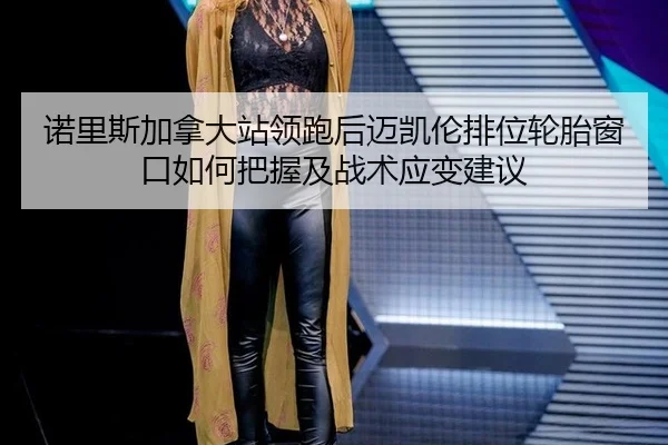 nuo-li-si-jia-na-da-zhan-ling-pao-hou-mai-kai-lun-pai-wei-lun-tai-chuang-kou-ru-he-ba-wo-ji-zhan-shu-ying-bian-jian-yi-2-318.jpg